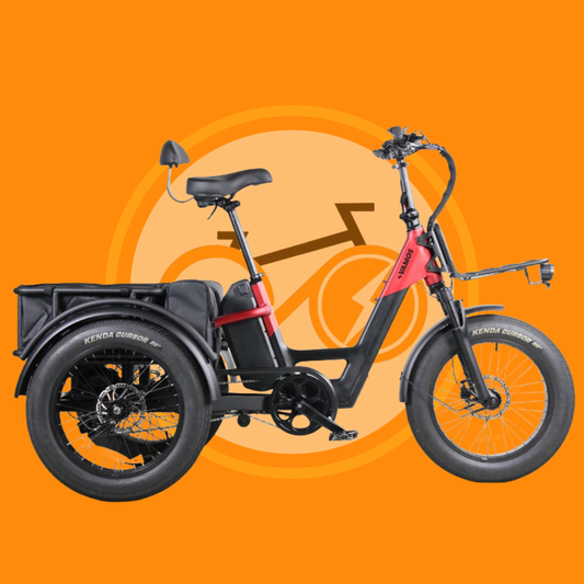 VAMOS Papa Grande Pro 2026 - 3 Wheel E-Trike