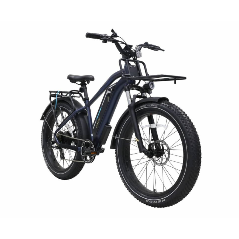 Dirodi Vivo Cruiser Step Over 250/750W