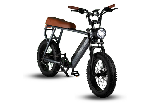 Sunmono E-Mono TRITON Electric Cruiser