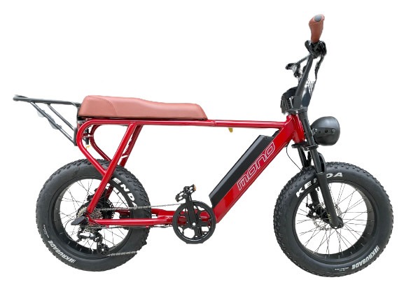 Sunmono E-Mono TRITON Electric Cruiser