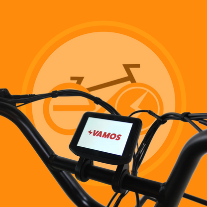 Vamos Amigo 2025