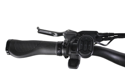 VAMOS Pre-Order | Amigo Plus 2025 - All-Purpose Passenger Commuter E-Bike WITH REAR RACK
