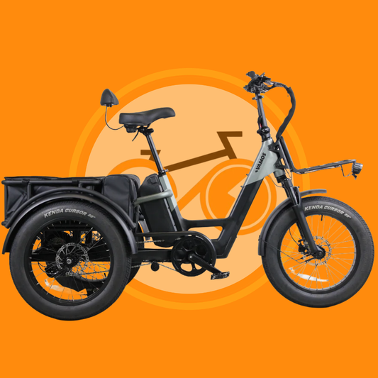 VAMOS Papa Grande Pro 2026 - 3 Wheel E-Trike