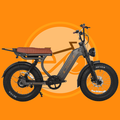 Rever Safari DS Glide         (Blet Drive)