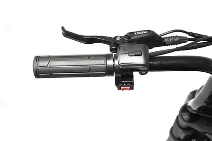 ToLand Huntsman Step Through 500W