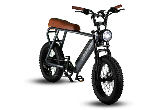 Sunmono E-Mono TRITON  Electric Cruiser