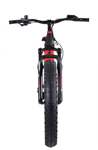 Rino power e discount bike